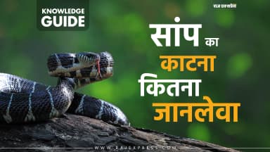 इस सीजन में ज्यादा खतरा क्यों; कैसे बचें; इलाज क्या है, DOs & DON’Ts- आपके हर सवाल का जवाब