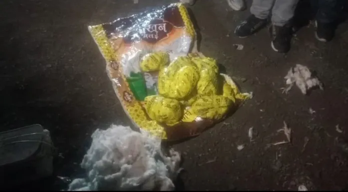 अंतरराज्यीय तस्करी का भंडाफोड़; राजस्थान से गुजरात जा रही थी खेप