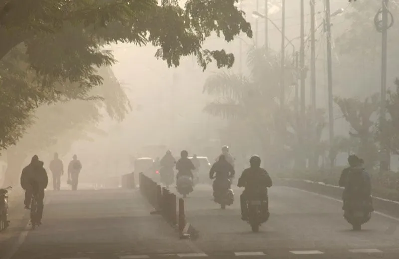 4.8 डिग्री पहुंचा भोपाल का पारा, सीजन की सबसे सर्द रात; 22 जिलों में घने कोहरे का अलर्ट