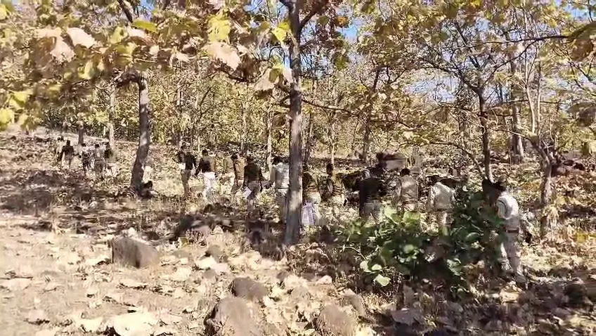 टाइगर एस्टिमेशन में मिले अहम संकेत; 24 दिसंबर तक चलेगी बाघों की गणना