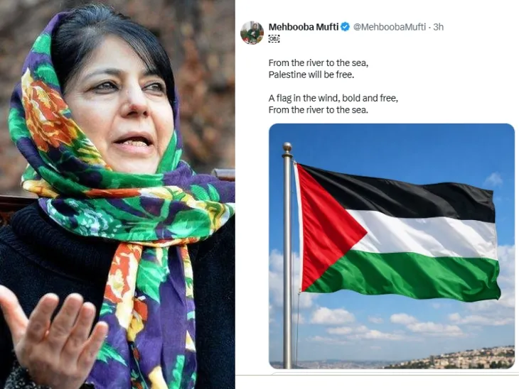 फिलिस्तीन का झंडा शेयर कर लिखा- नदी से समुद्र तक, फिलिस्तीन आजाद होगा