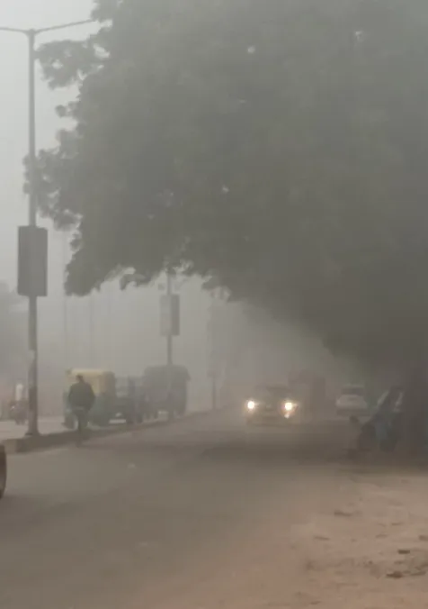 भोपाल, इंदौर, रीवा समेत कई जिलों में कोल्ड वेव; मंदसौर सबसे ठंडा, ग्वालियर-चंबल और रीवा संभाग में घना कोहरा