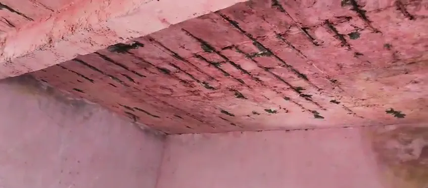 VIDEO वायरल, बुनियादी सुविधाओं की कमी से बच्चों की सुरक्षा पर खतरा