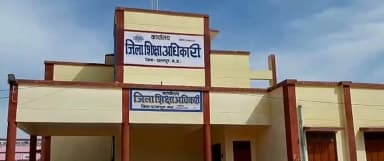 स्कूलों में आवारा कुत्तों की एंट्री रोकने की जिम्मेदारी प्राचार्यों पर, आदेश वायरल