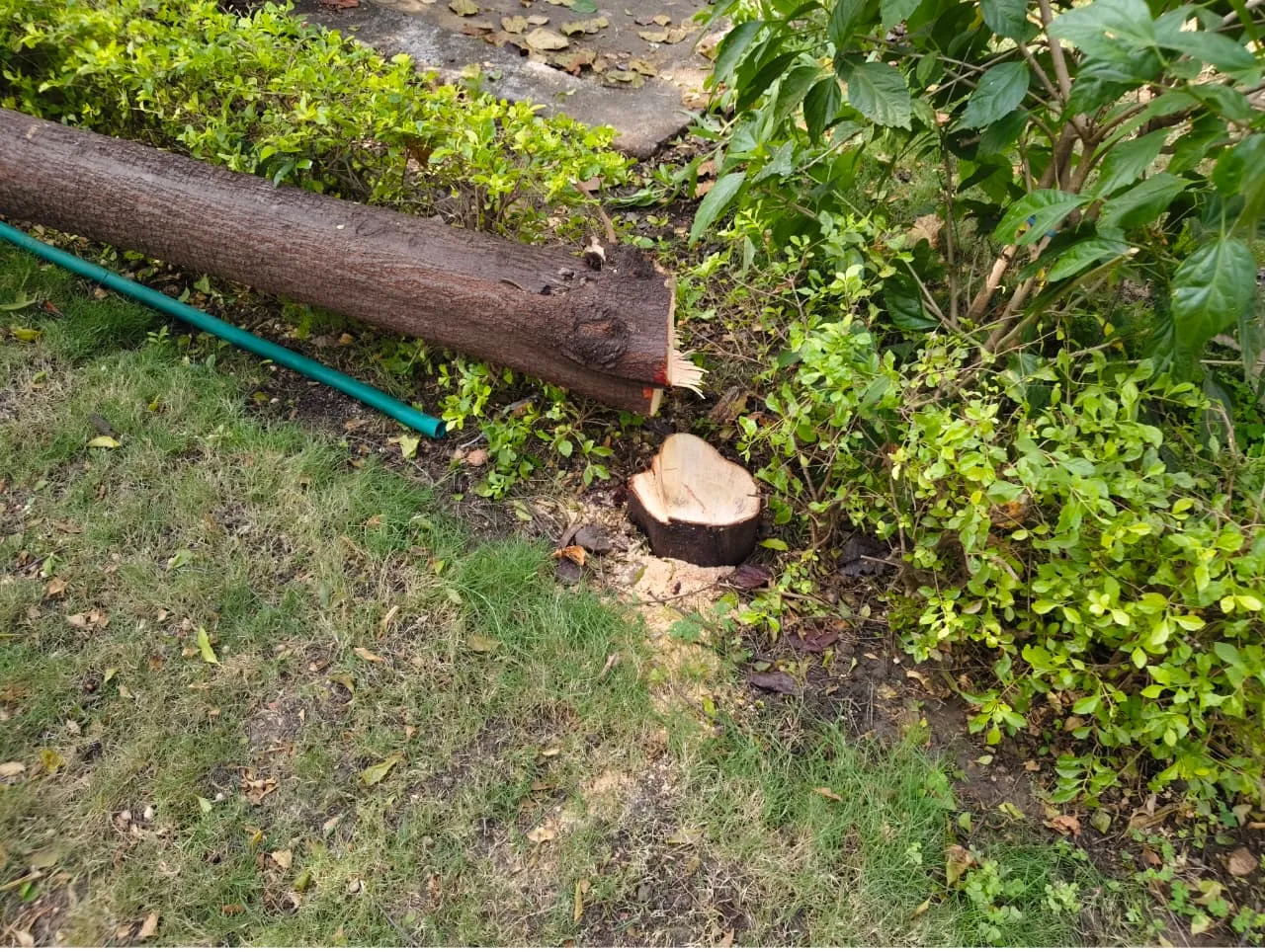 सत्र चालू रहने के बावजूद हाई लेवल सिक्योरिटी जोन में चोरी की कोशिश, परिसर की सुरक्षा बढ़ाई