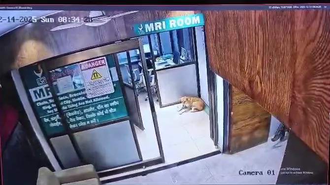 डॉग लवर की शिकायत पर FIR, आरोपी चौकीदार गिरफ्तार