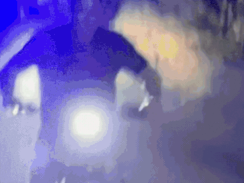 बाइक चलाई, फार्म हाउस पर सेलेब्स का मेला; सुरक्षा वजहों से फैन मीटअप कैंसिल