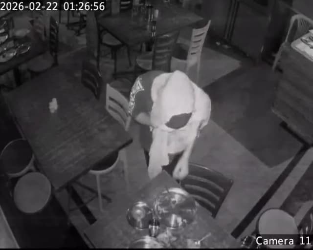 50 हजार लेकर भागा चोर, 10 मिनट काउंटर के करीब ही बैठा रहा; CCTV सामने आया