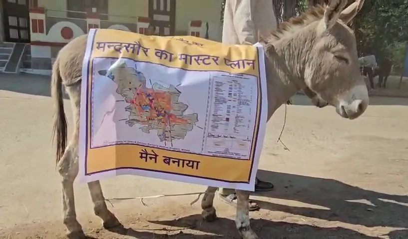 गधों पर मास्टर प्लान के पोस्टर लगाकर रैली निकाली; ढोल बजाते हुए शहर में घूमे