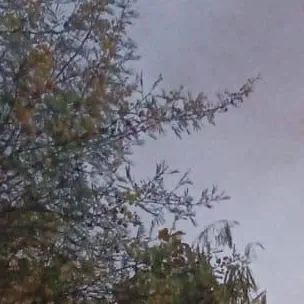 10 किमी दूर तक दिखा धुआं,आधा घंटा देरी से पहुंचीं दमकलें