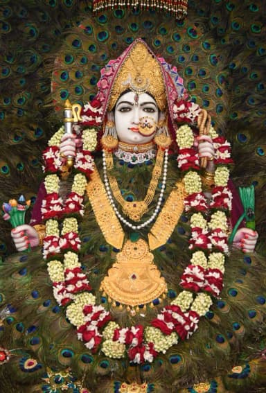 सुबह से शाम तक भक्तिमय हुआ माहौल; हजारों की संख्या में पहुंचते हैं भक्त