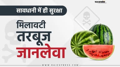 आपके तरबूज में मिलावट तो नहीं; सिर्फ 1 मिनट में घर पर कैसे चेक करें- यहां तरीका जानिए