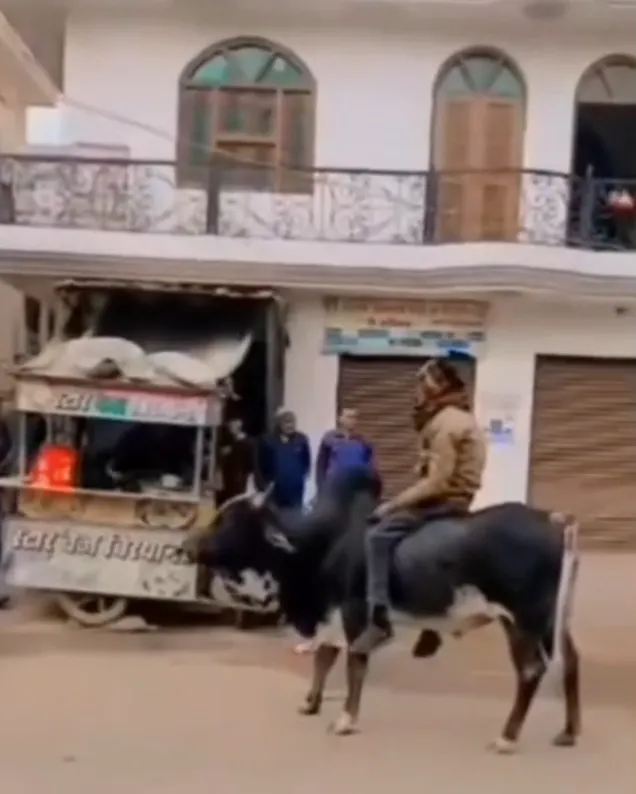 ग्वालियर में हाई-वोल्टेज ड्रामा, वायरल हुआ VIDEO