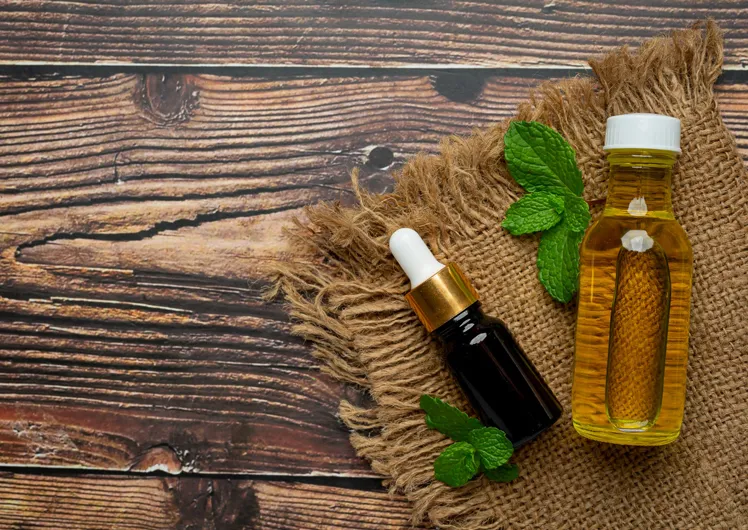 अपनाएं ये घरेलू नुस्खे; नीम-पुदीना और गुड़हल के फूल से बालों का टूटना रोक सकते